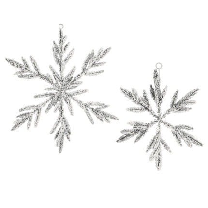 Fiocco di Pino Innevato