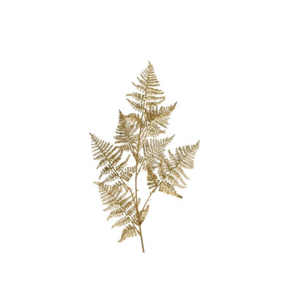 Ramo di Asparagus Dorato 87cm