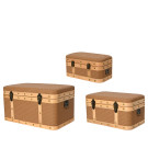 Baule Elegante in Legno Marrone