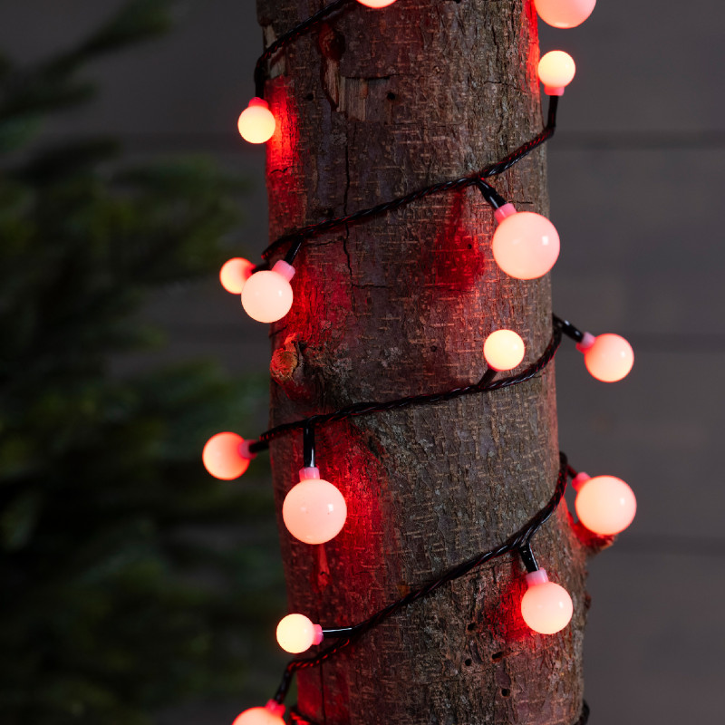 Lucy Cherry LED natalizio per albero di Natale – Luce Bianca/Cangiante