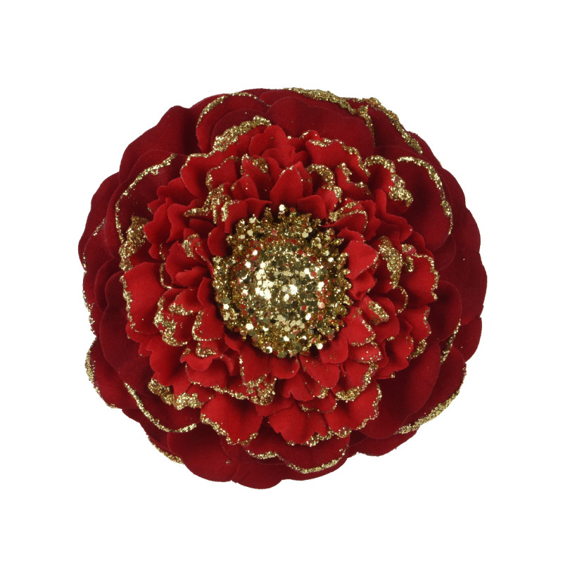 Fiore di Zinnia Glitterata Rosso