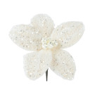 Clip Stella di Natale con Glitter