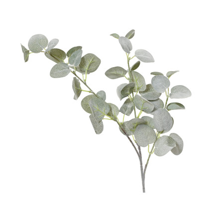Ramo di Eucalipto 69cm