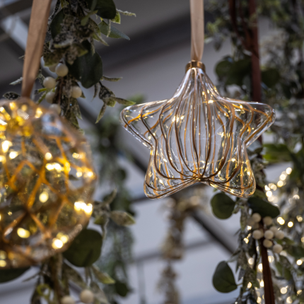 Stella Luminosa Pendente 20cm