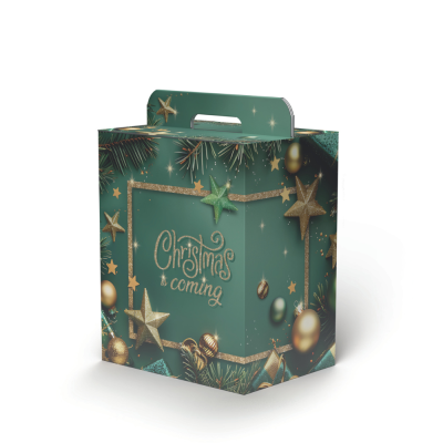 Scatola portapanettone e Bottiglia Starlight. Incartare Seregno 2