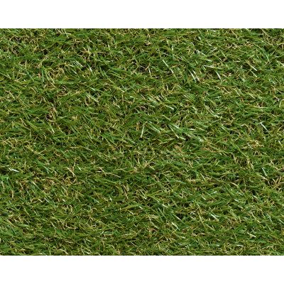 Zolla di Erba Artificiale 2