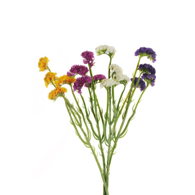 Ramo di 4 Limonium Floccati