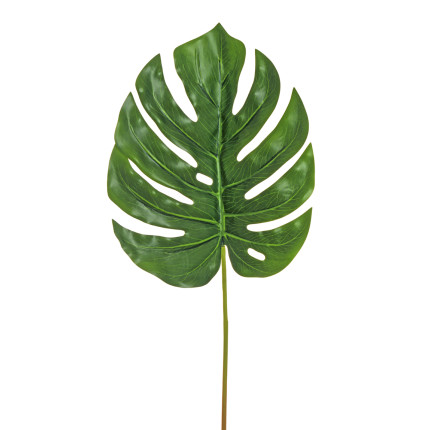 Foglia di Monstera