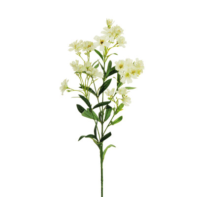 Ramo di 5 Oleandri Bianchi