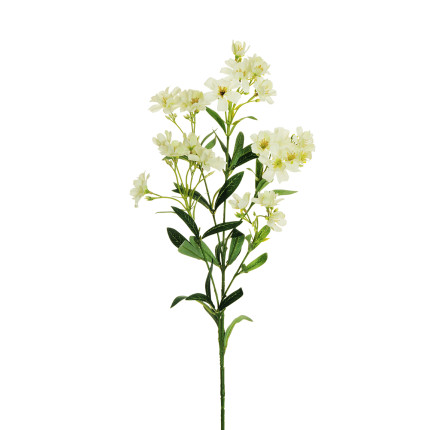 Ramo di 5 Oleandri Bianchi