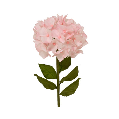 Ortensia Rosa Con Stelo