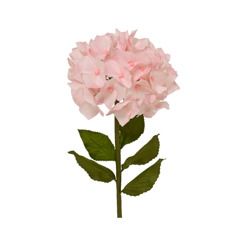 Ortensia Rosa Con Stelo