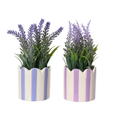 Lavanda in Vaso Di Porcellana