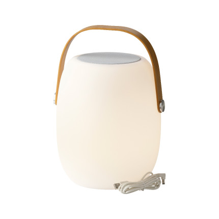 Luce Led con Speaker per Esterno