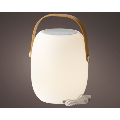 Luce Led con Speaker per Esterno 2