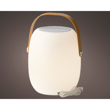 Luce Led con Speaker per Esterno