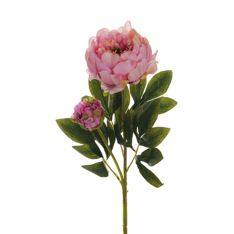 Ramo di Peonie Malva