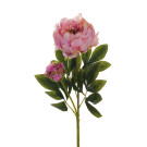 Ramo di Peonie
