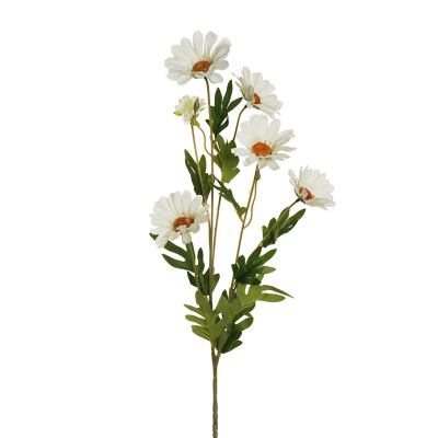 Ramo di 5 Margherite 2