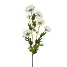 Ramo di 5 Margherite