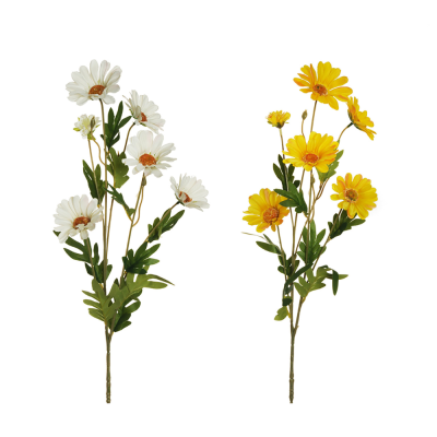 Ramo di 5 Margherite