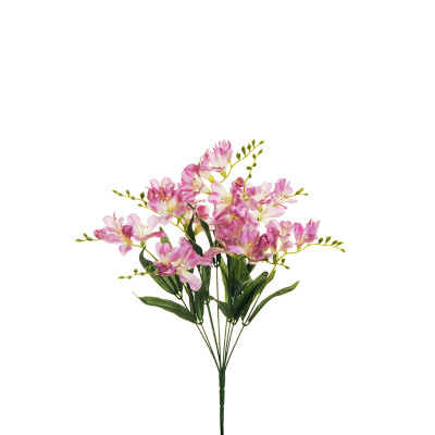 Mazzo di Fresie Lilla