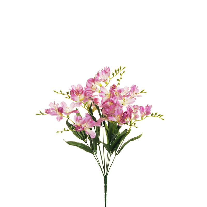 Mazzo di Fresie lilla