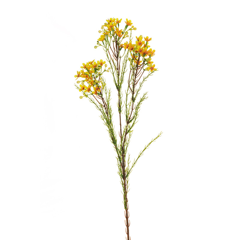 Ramo di Fiori di Cera giallo