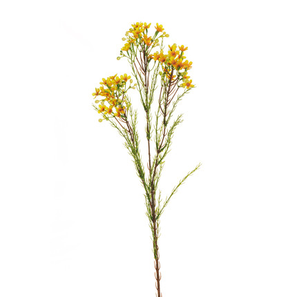Ramo di Fiori di Cera giallo