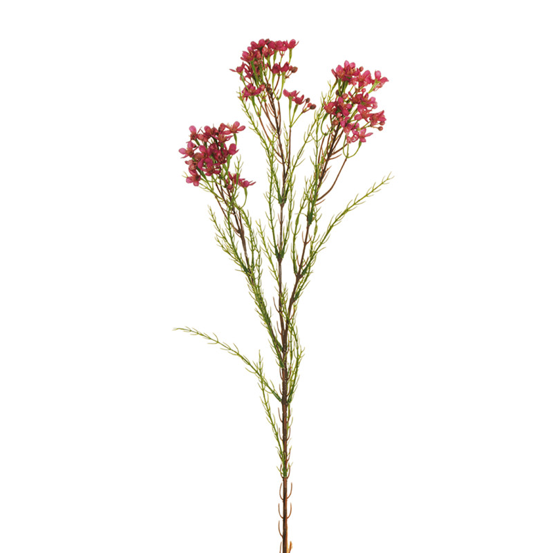 Ramo di Fiori di Cera fucsia