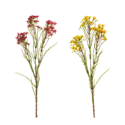 Ramo di Fiori di Cera