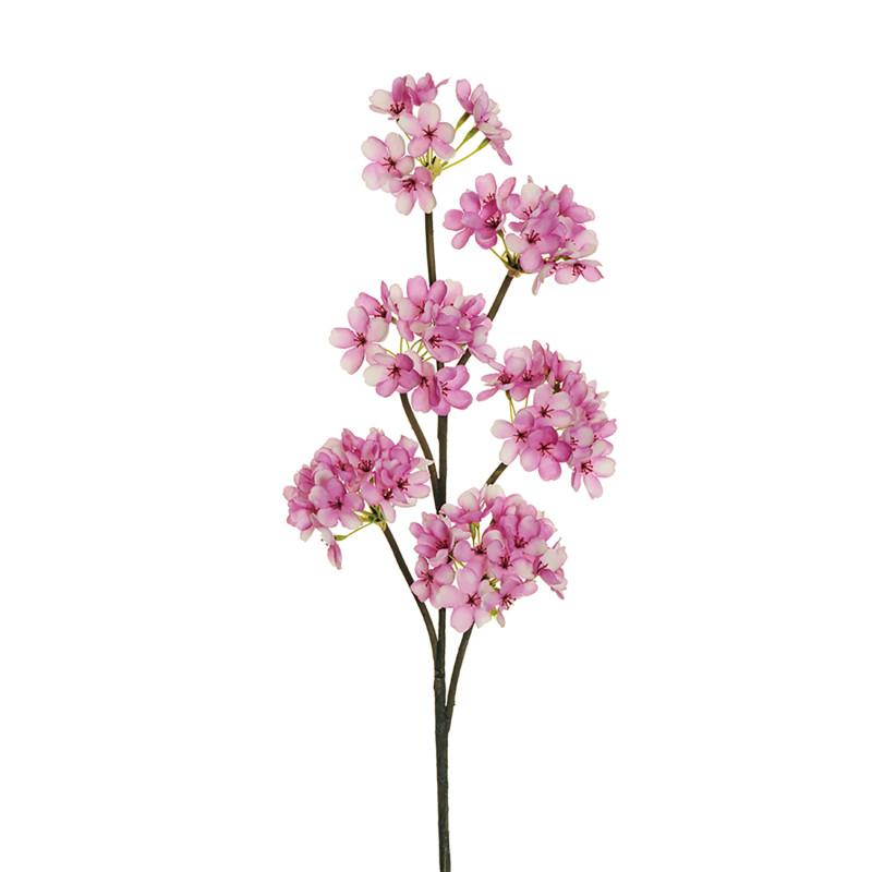 Ramo di Fiori di Pero rosa