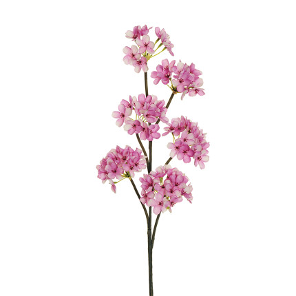 Ramo di Fiori di Pero rosa