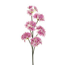 Ramo di Fiori di Pero