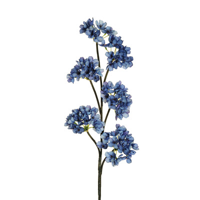 Ramo di Fiori di Pero blu