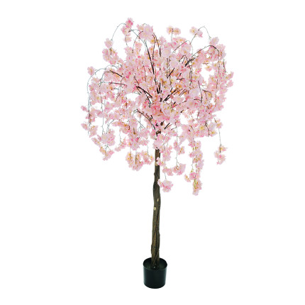Albero Fiori di Pesco Rosa