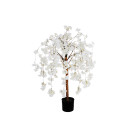 Albero di Fiori di Pesco Bianco