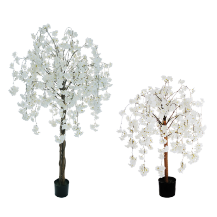 Albero di Fiori di Pesco Bianco
