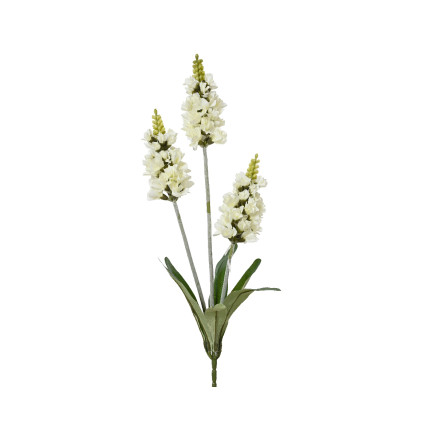 Ramo di Lavanda Bianco