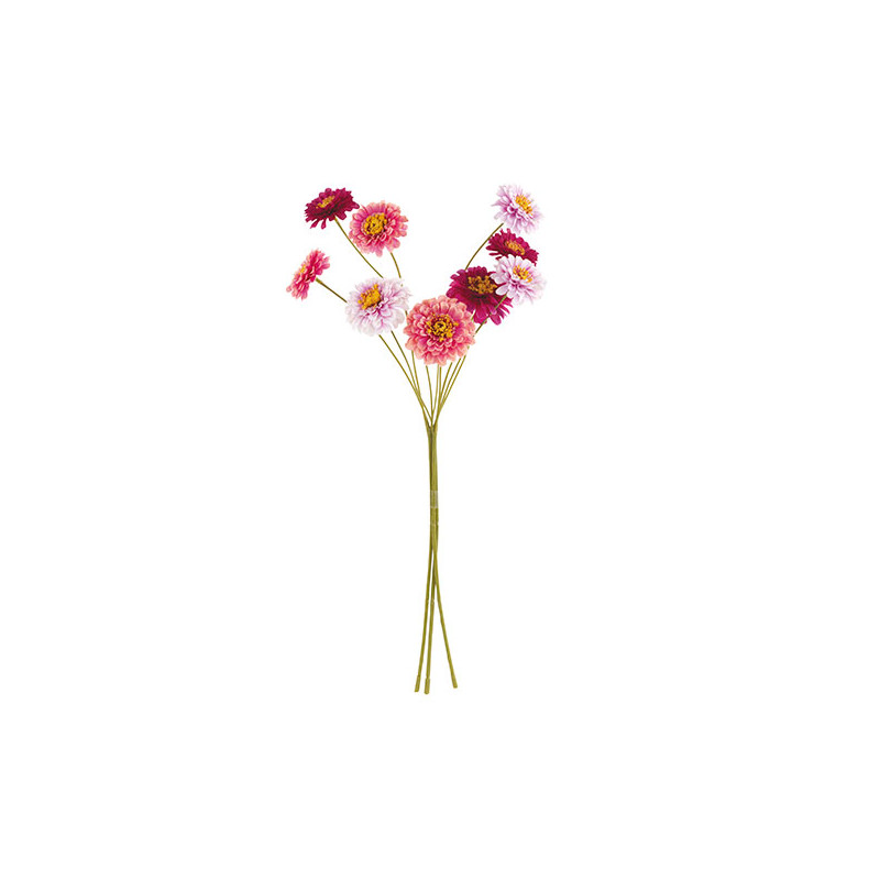 Mazzo 9 Fiori Zinnia Rosa