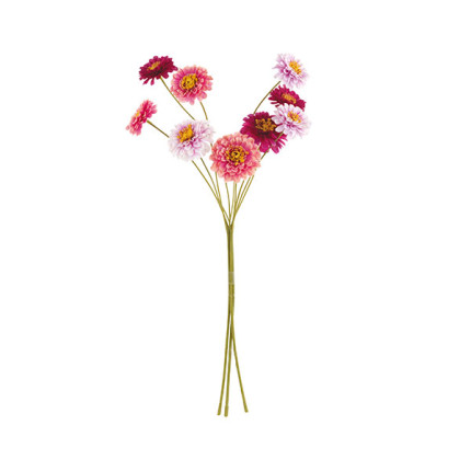 Mazzo 9 Fiori Zinnia Rosa