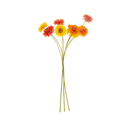 Mazzo 9 Fiori Zinnia Giallo