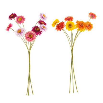 Mazzo 9 Fiori Zinnia