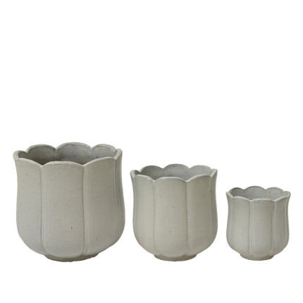 Vaso Tulip in Terracotta per Fioristi | Ingrosso Vasi Online