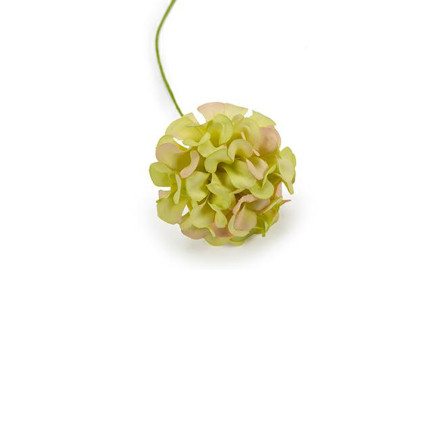 Pick Ortensie Piccole