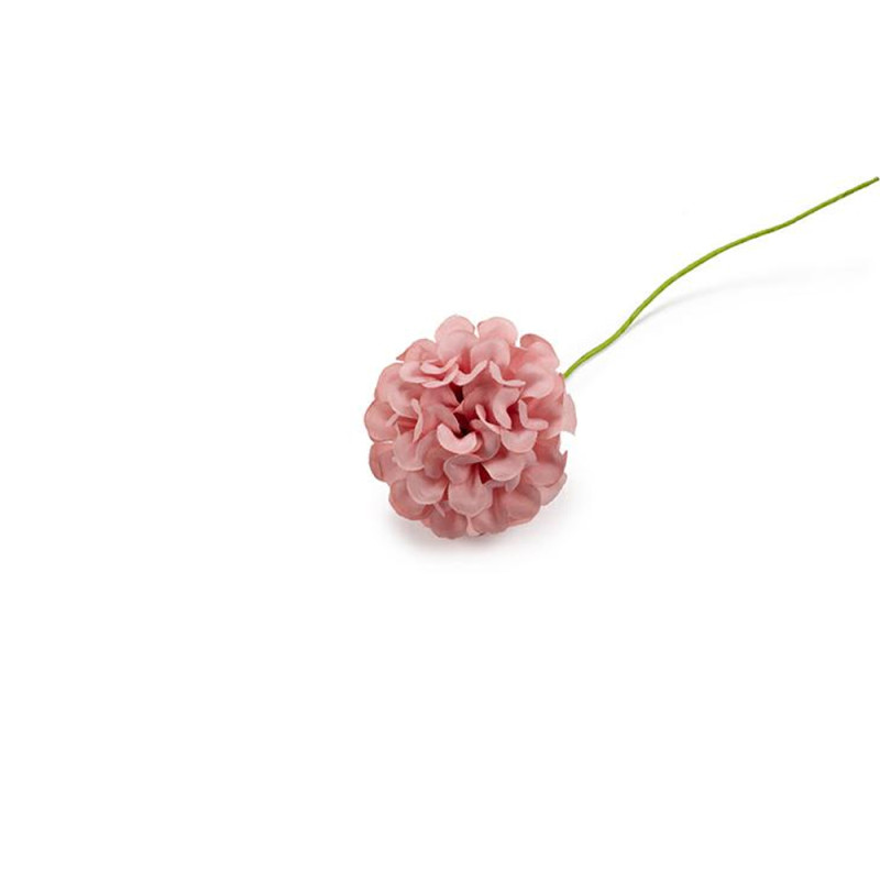 Pick Ortensie Piccole