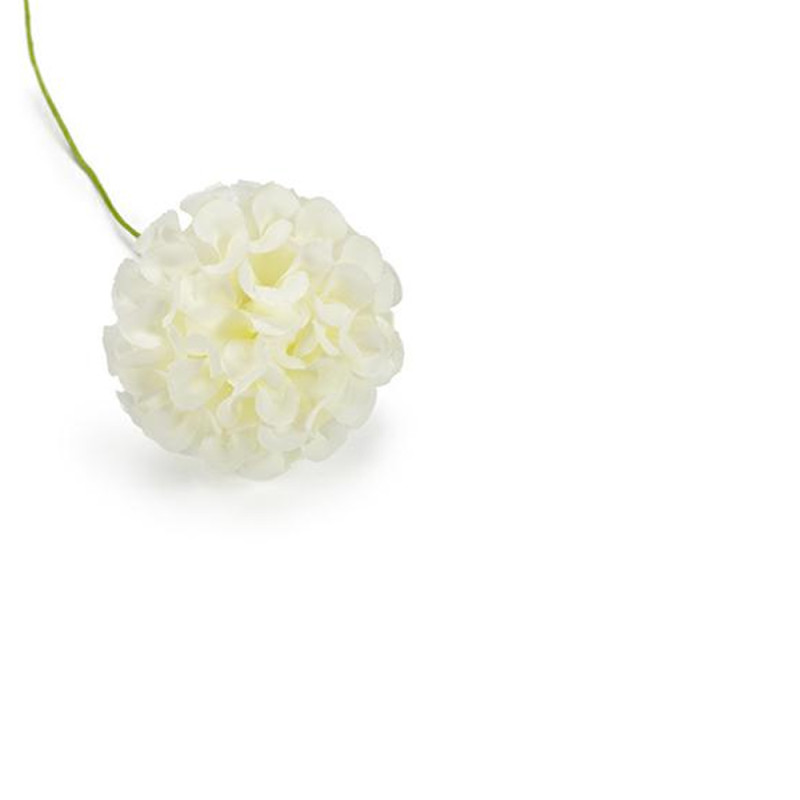 Pick Ortensie Piccole