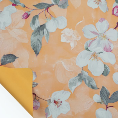 Fogli in Polipropilene Cherry Elite Albicocca