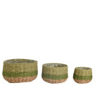 Cesto in Corda Verde Tondo