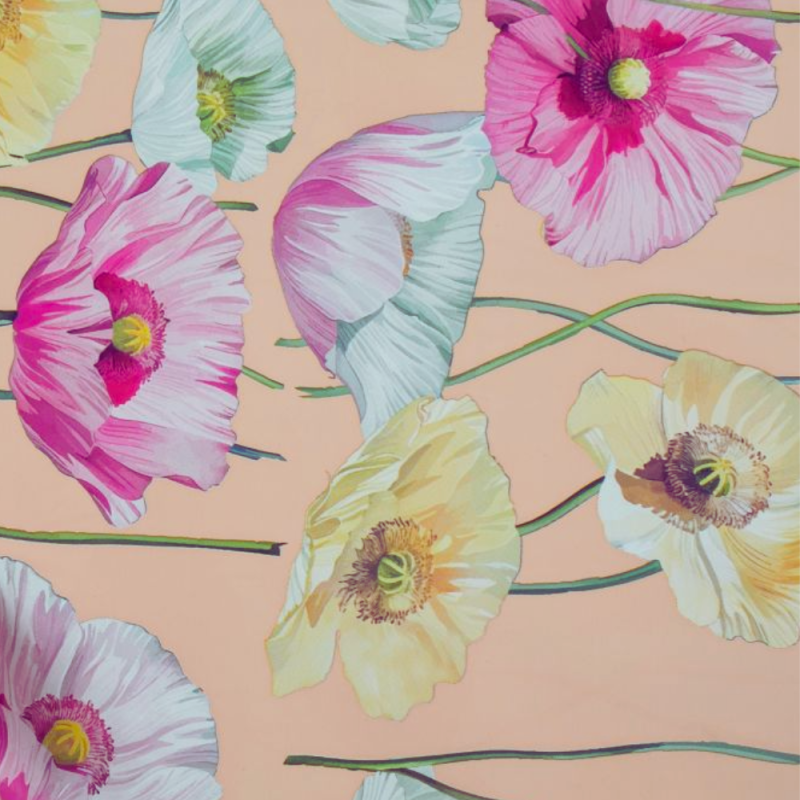 Fogli Carta Velina Poppy Ecrù